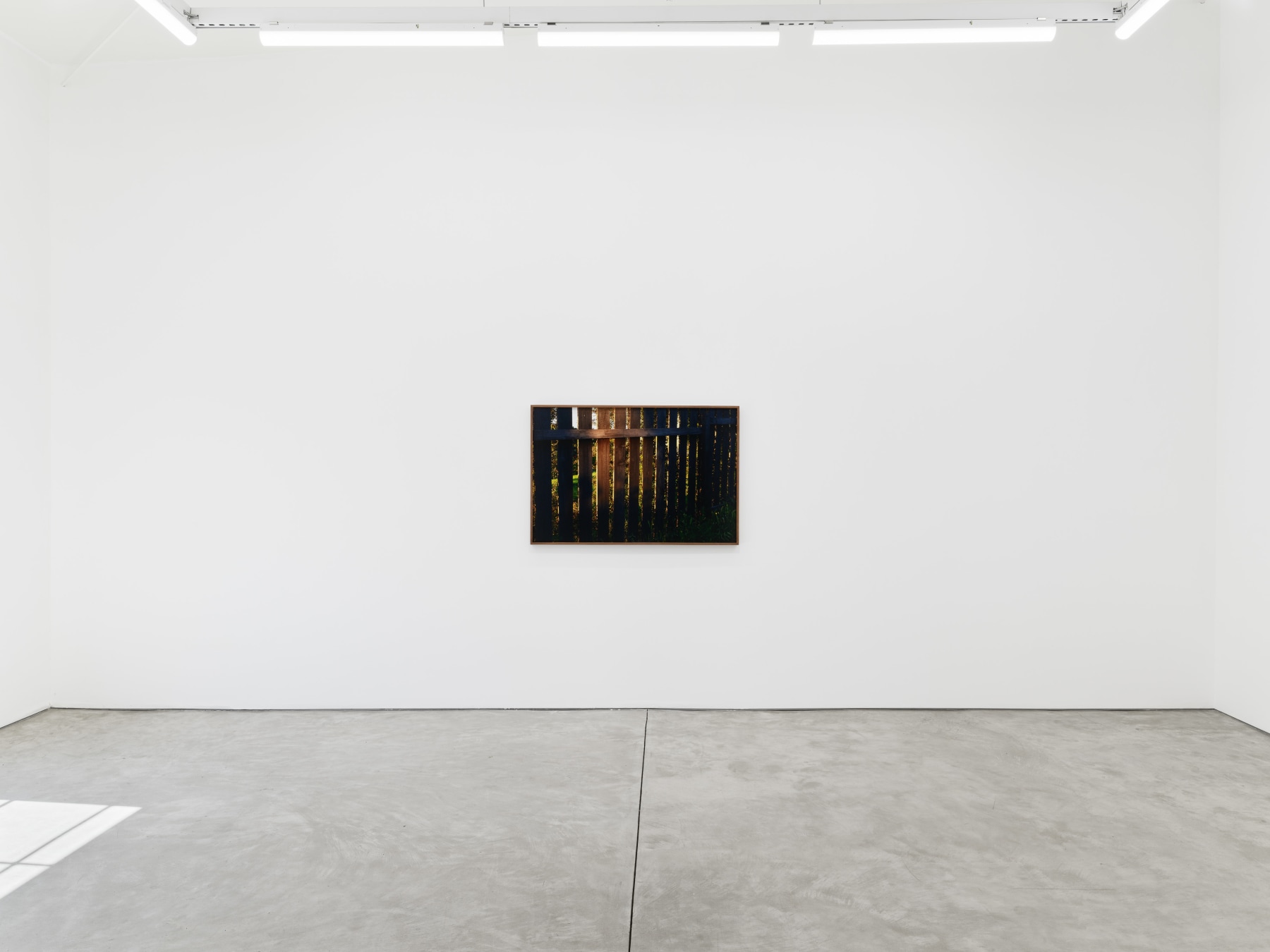 Melanie Schiff, Convict Lake, installation view, 2022