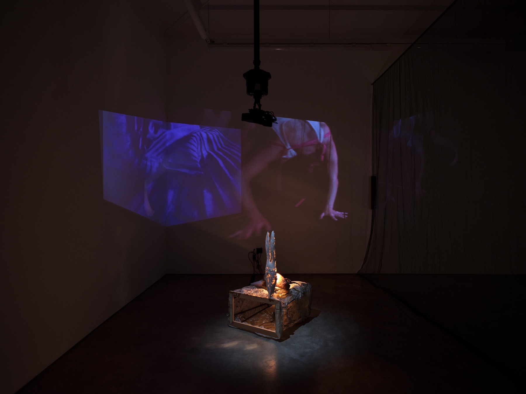 Catalina Ouyang, forgive everything, installation view, 2022