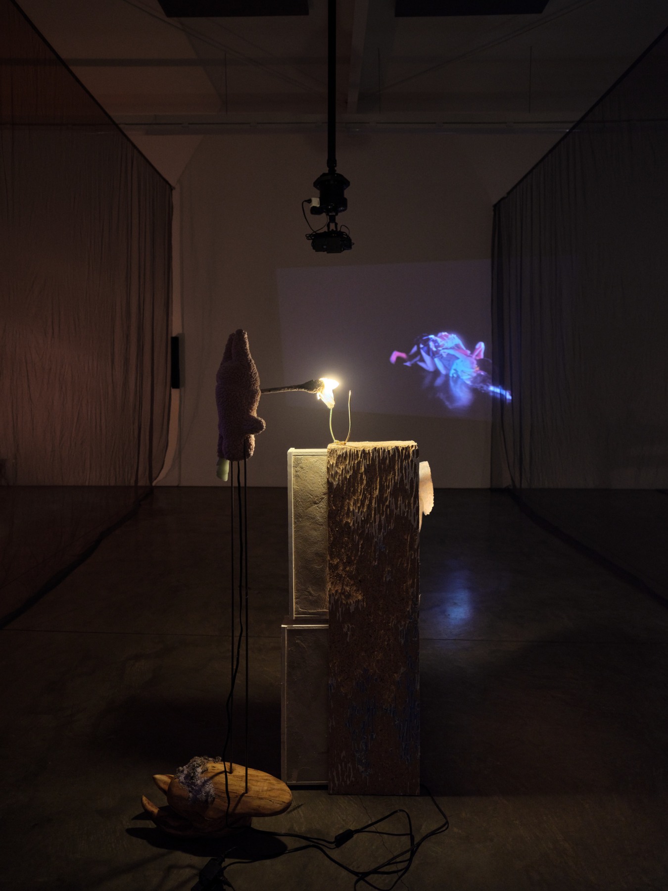 Catalina Ouyang, forgive everything, installation view, 2022