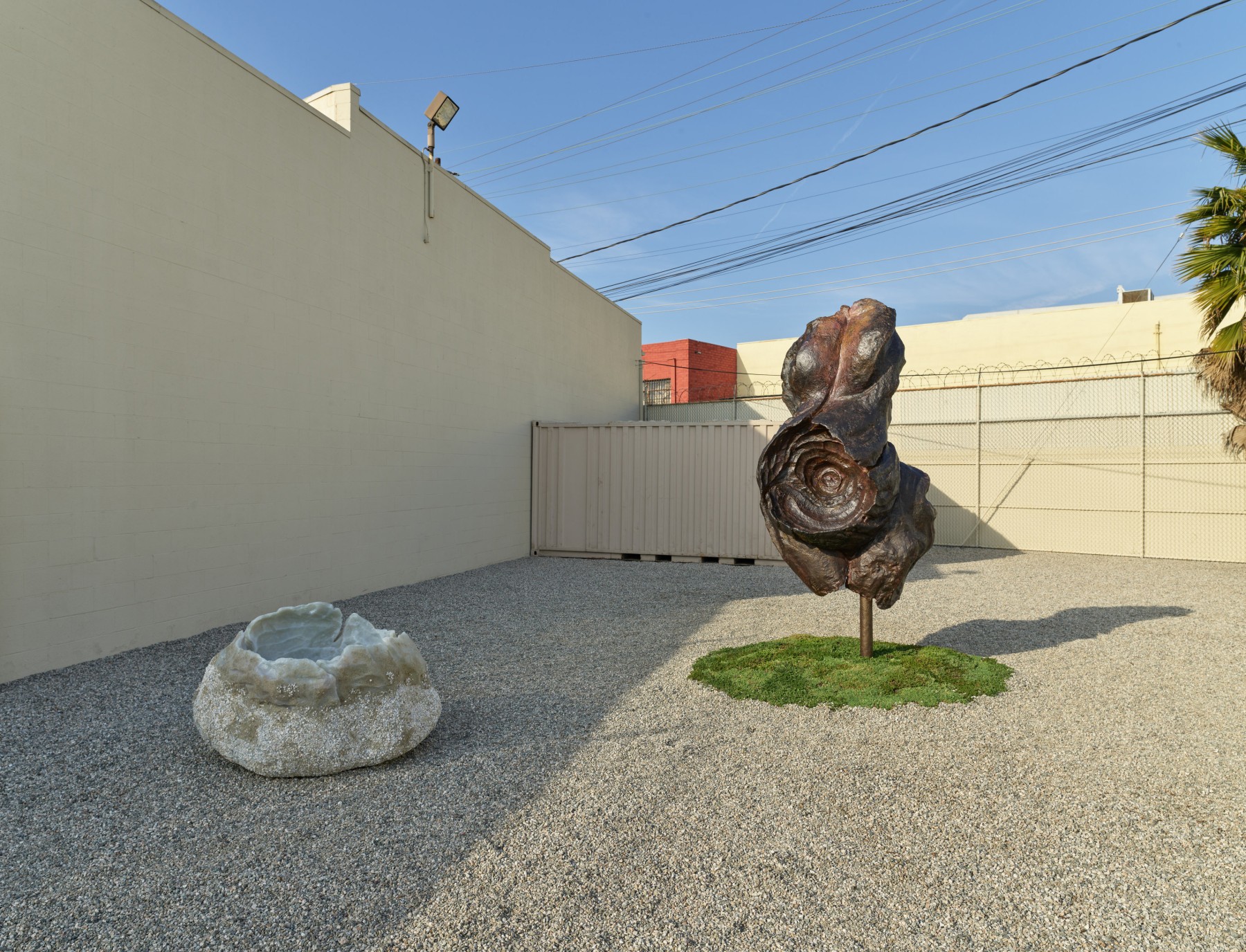 Shrubs, installation view, 2022