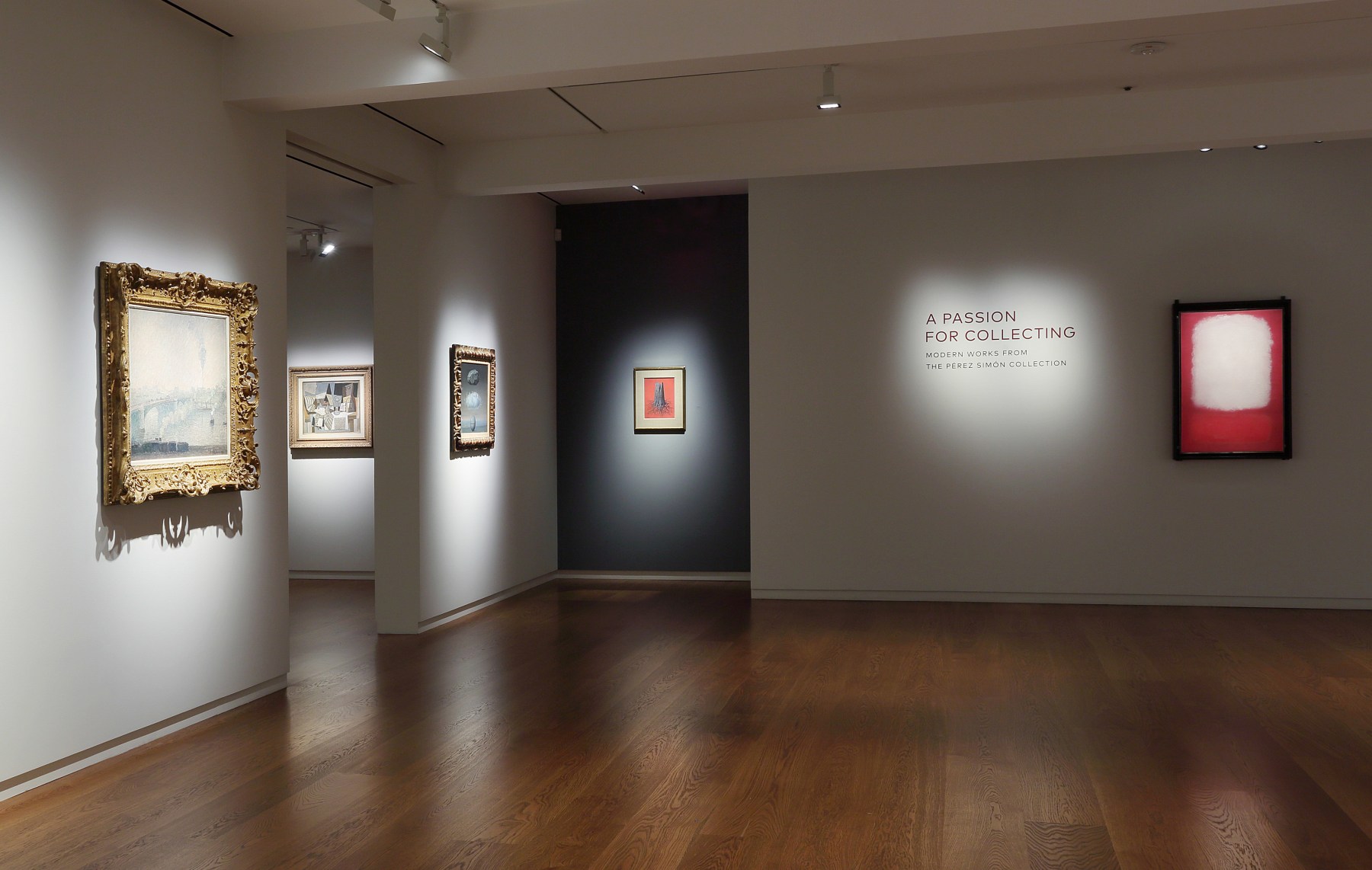 A Passion for Collecting: Modern Works from the P&eacute;rez Sim&oacute;n Collection, Installation View