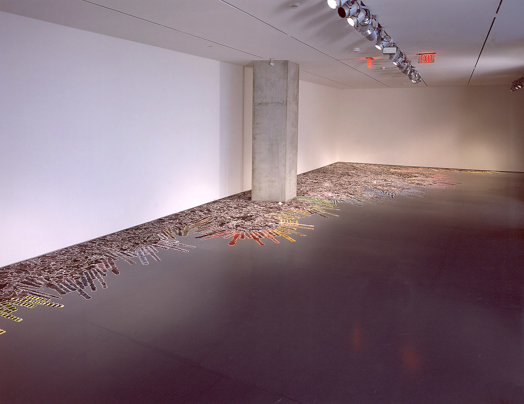 Polly Apfelbaum, installation view, Contemporary Arts Center (2004)