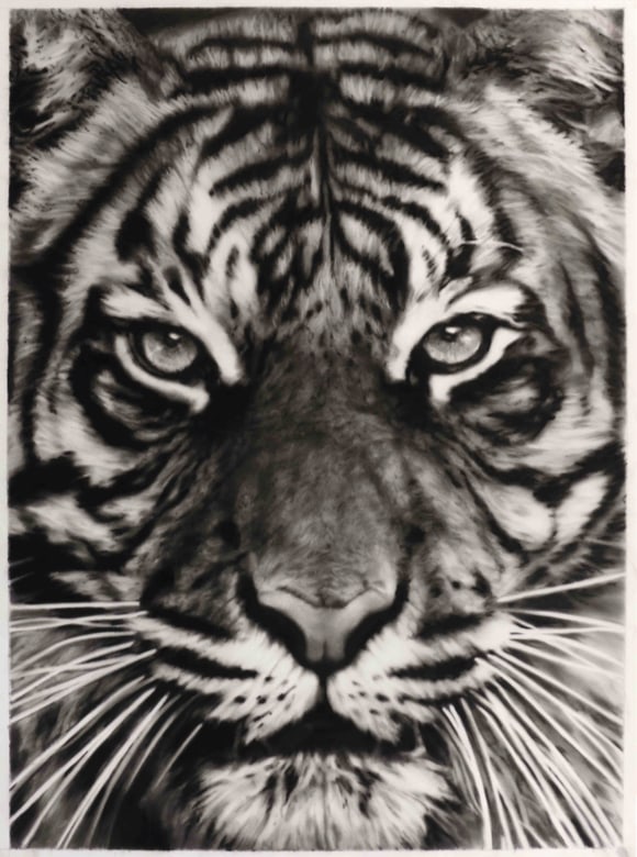 ROBERT LONGO