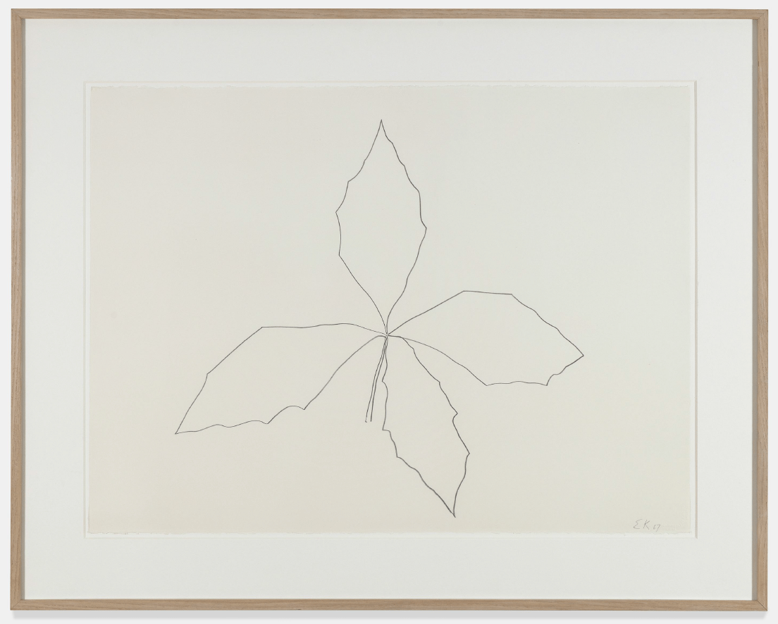 ELLSWORTH KELLY