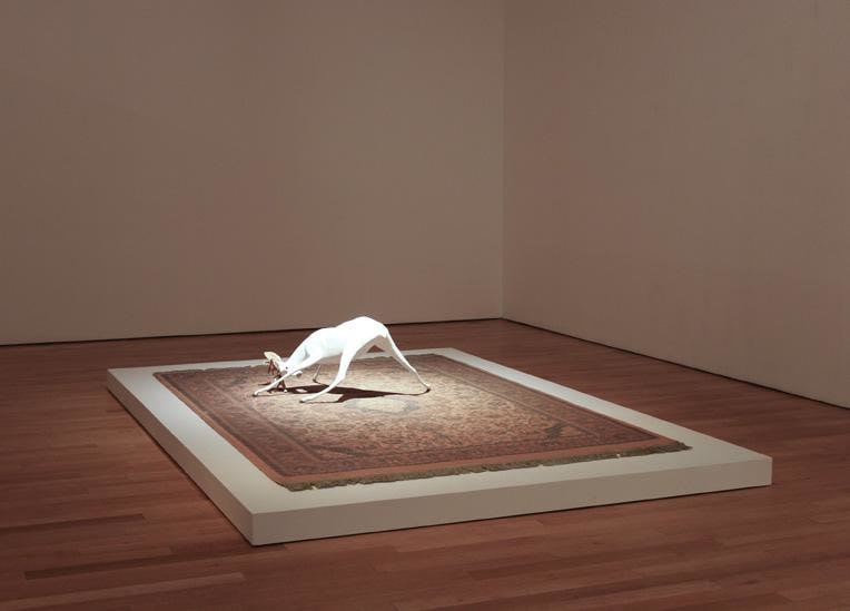 white deer standing in the middle of a carpet