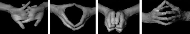Image of BILL VIOLA's Four Hands, 2001