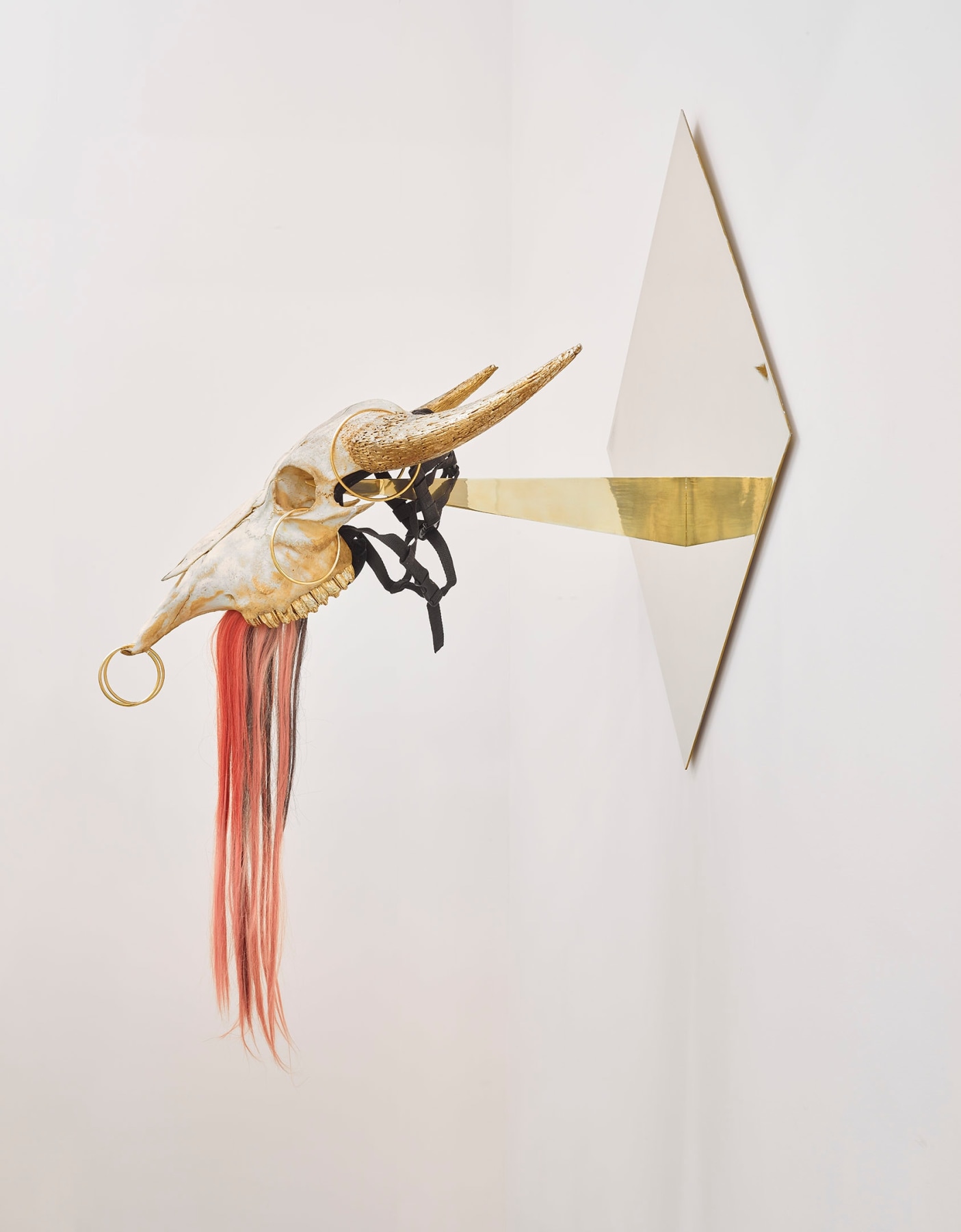image of the propeller group's Untitled [Ox Head; The Living Need Light, The Dead Need Music], 2014