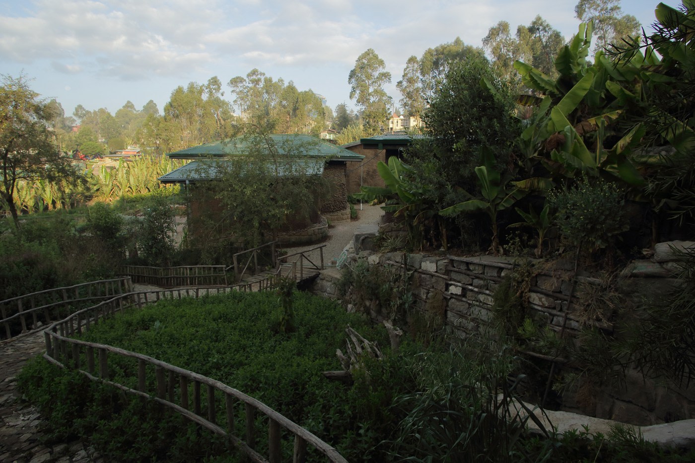 tropical garden view leading to a building