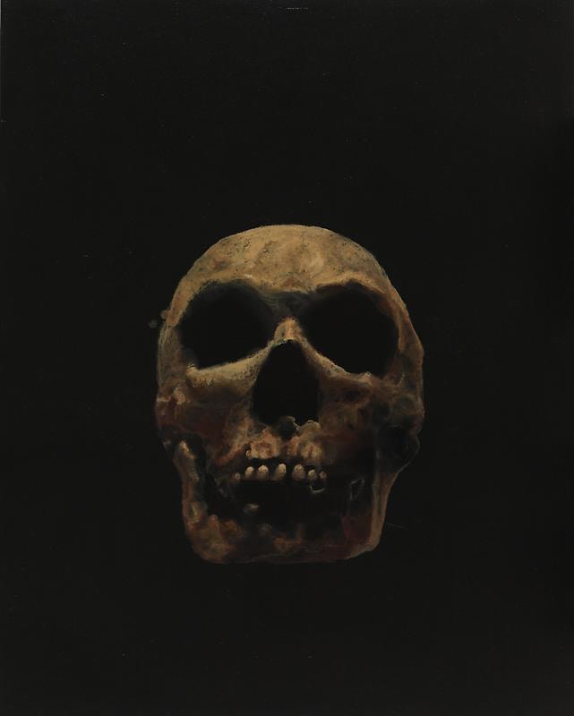 Image of GUO HONGWEI's 郭鸿蔚 The Dark Side&mdash;Skull #1 暗面&mdash;&mdash;头骨 #1, 2010