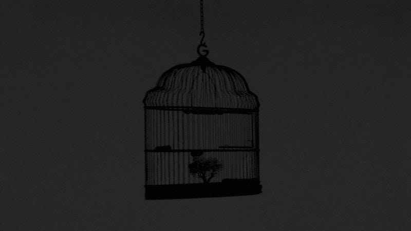 silhouette of a bird cage