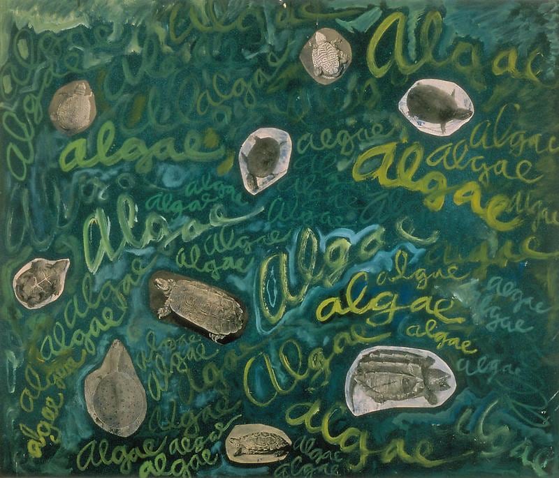 Image of ROBERT SMITHSON's Algae, Algae, ca. 1961-63