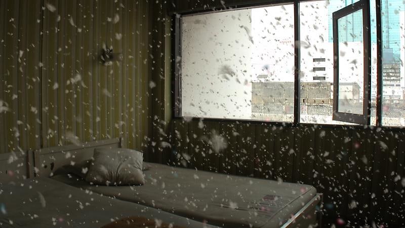 still of a room with feather-like particles