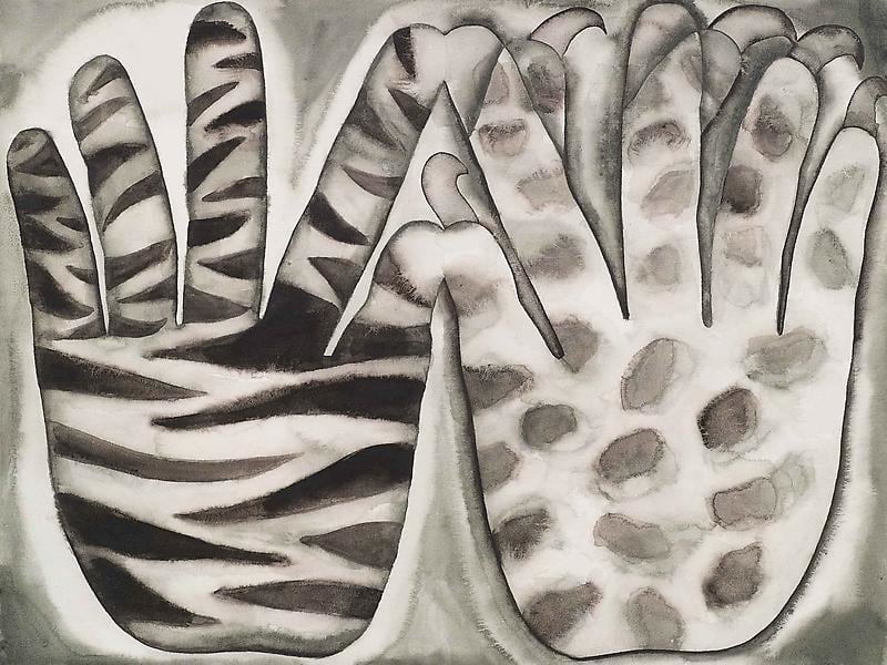 hands with zebra stripes and leopard spots