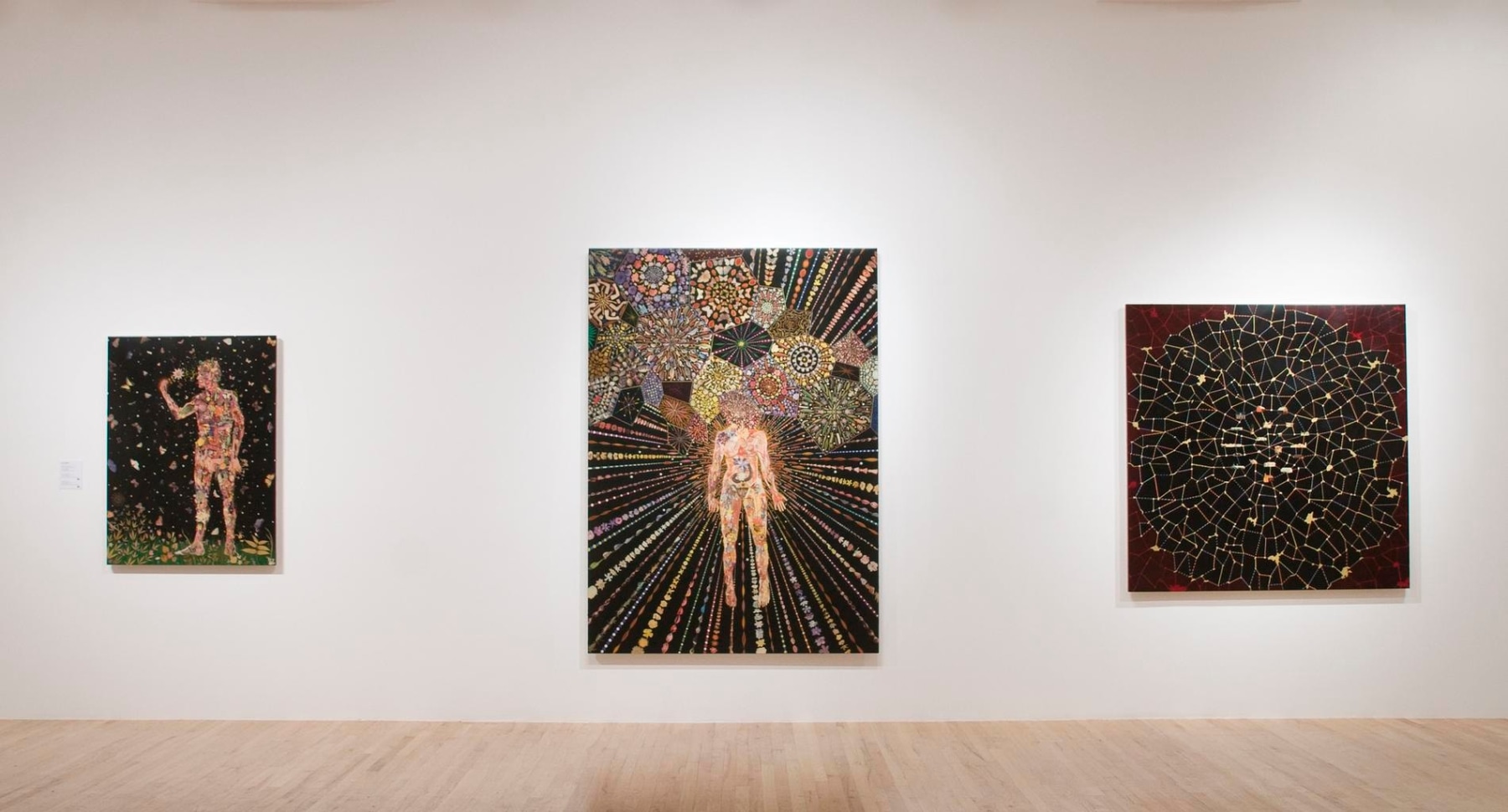 exhibition view of three of Fred Tomaselli's artworks