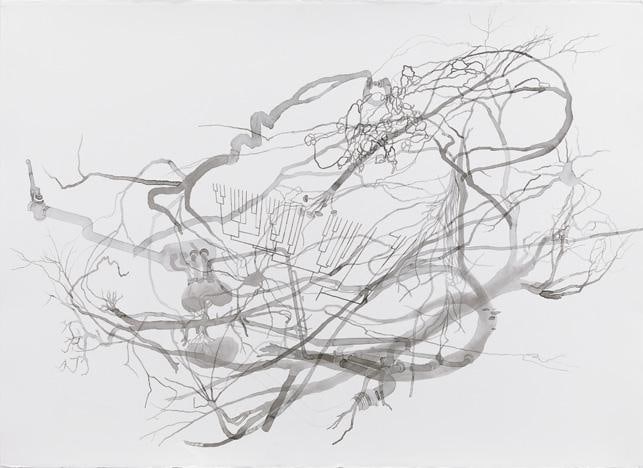 Image of ROXY PAINE's Drawing for Distillation, 2009