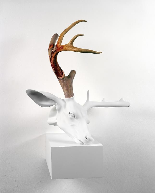 Image of ERICK SWENSON's Untitled (Velvet Horn), 2009