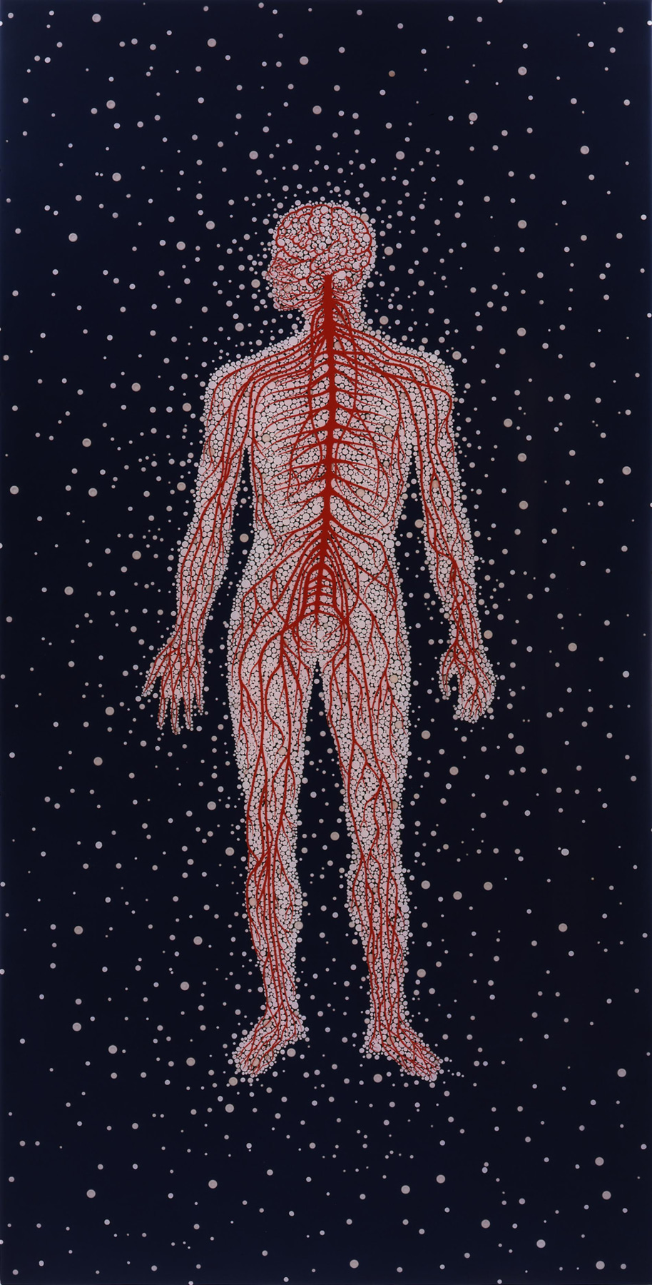 Image of FRED TOMASELLI's Naked From the Inside, 1992-2009