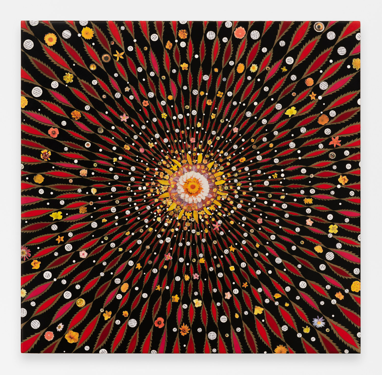 Image of FRED TOMASELLI's Pollen Spreader, 2022
