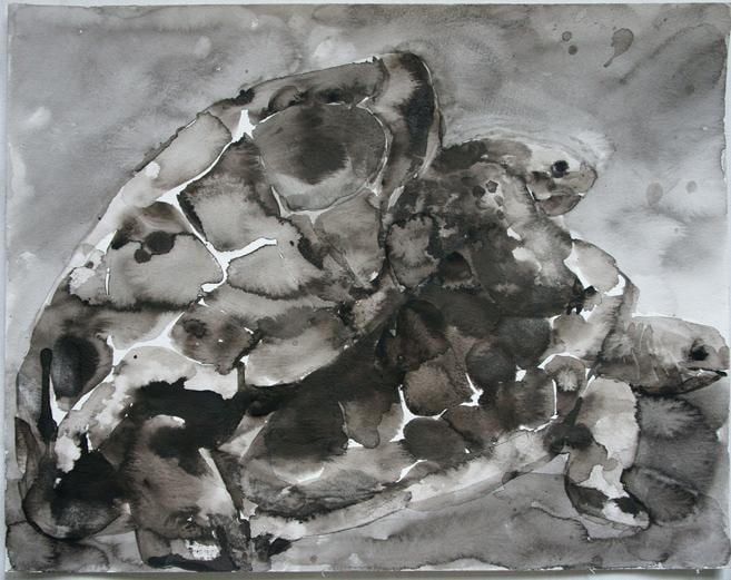 Image of SHI ZHIYING's 石至莹 Palomar&mdash;The Loves of the Tortoises 帕洛马尔&mdash;&mdash;乌龟之爱, 2011-2012