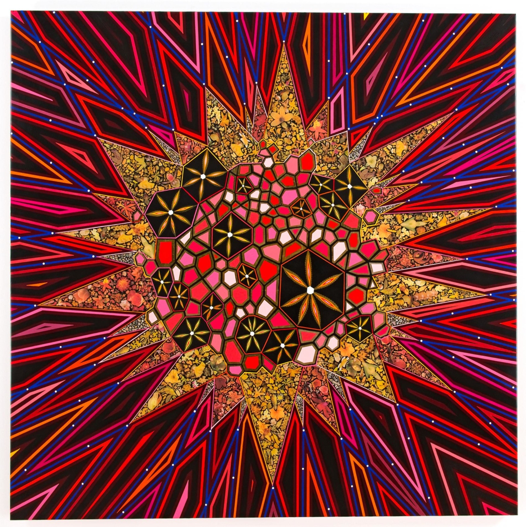 Image of FRED TOMASELLI's Black Star,&nbsp;2013