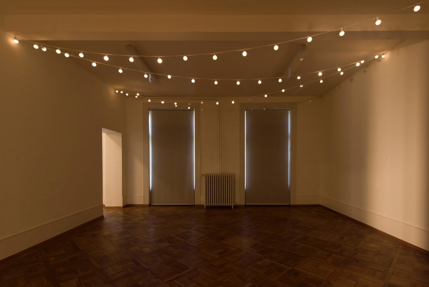 dimly lit room with two windows with the shades down, string of lightbulbs on the ceiling