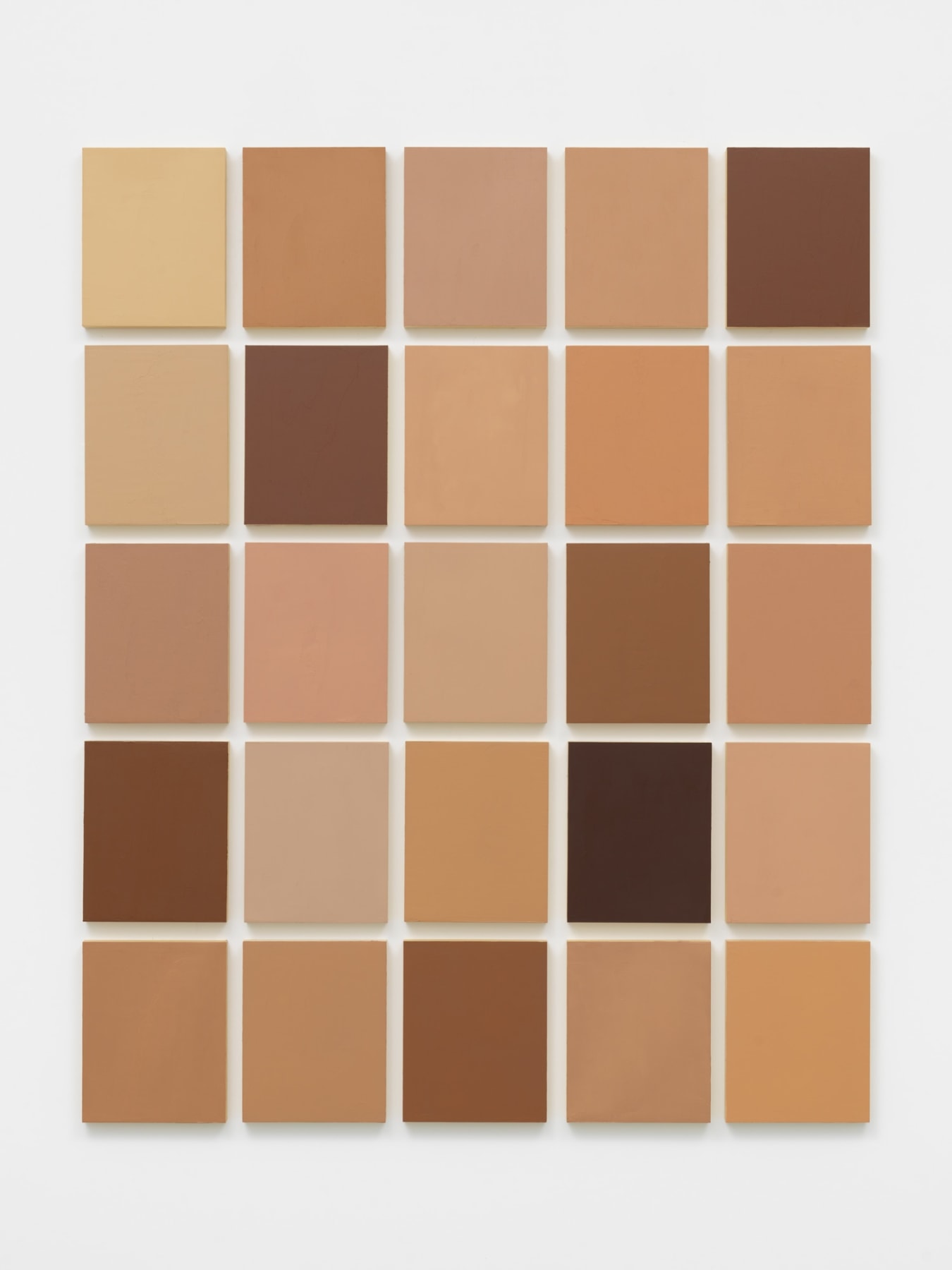 Twenty five blocks of skin tone colors representing twenty five people and their race