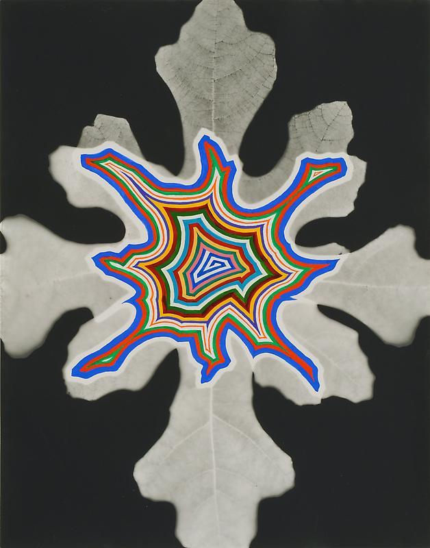 Image of FRED TOMASELLI's Bloom #2,&nbsp;2011