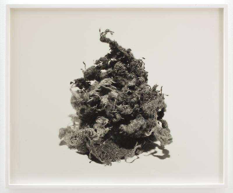 Image of N. DASH's Untitled 2012