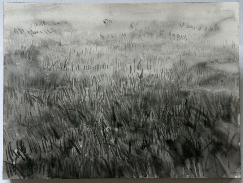 Image of SHI ZHIYING's 石至莹 Palomar&mdash;The Infinite Lawn 帕洛马尔&mdash;&mdash;无垠的草坪, 2011-2012