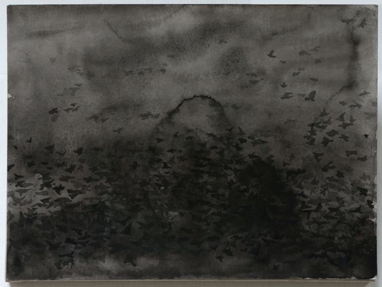 Image of SHI ZHIYING's 石至莹 Palomar&mdash;The Invasion of the Starlings 帕洛马尔&mdash;&mdash;群鸟入侵, 2011-2012