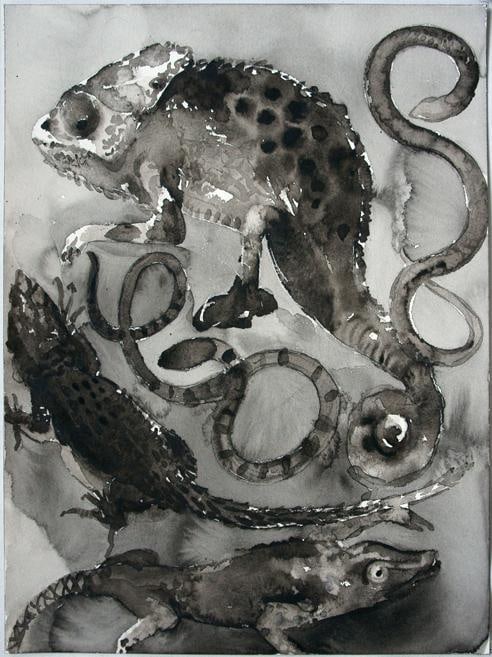 image of SHI ZHIYING's 石至莹 Palomar&mdash;The Order Squamata 帕洛马尔&mdash;&mdash;有鳞目, 2011-2012