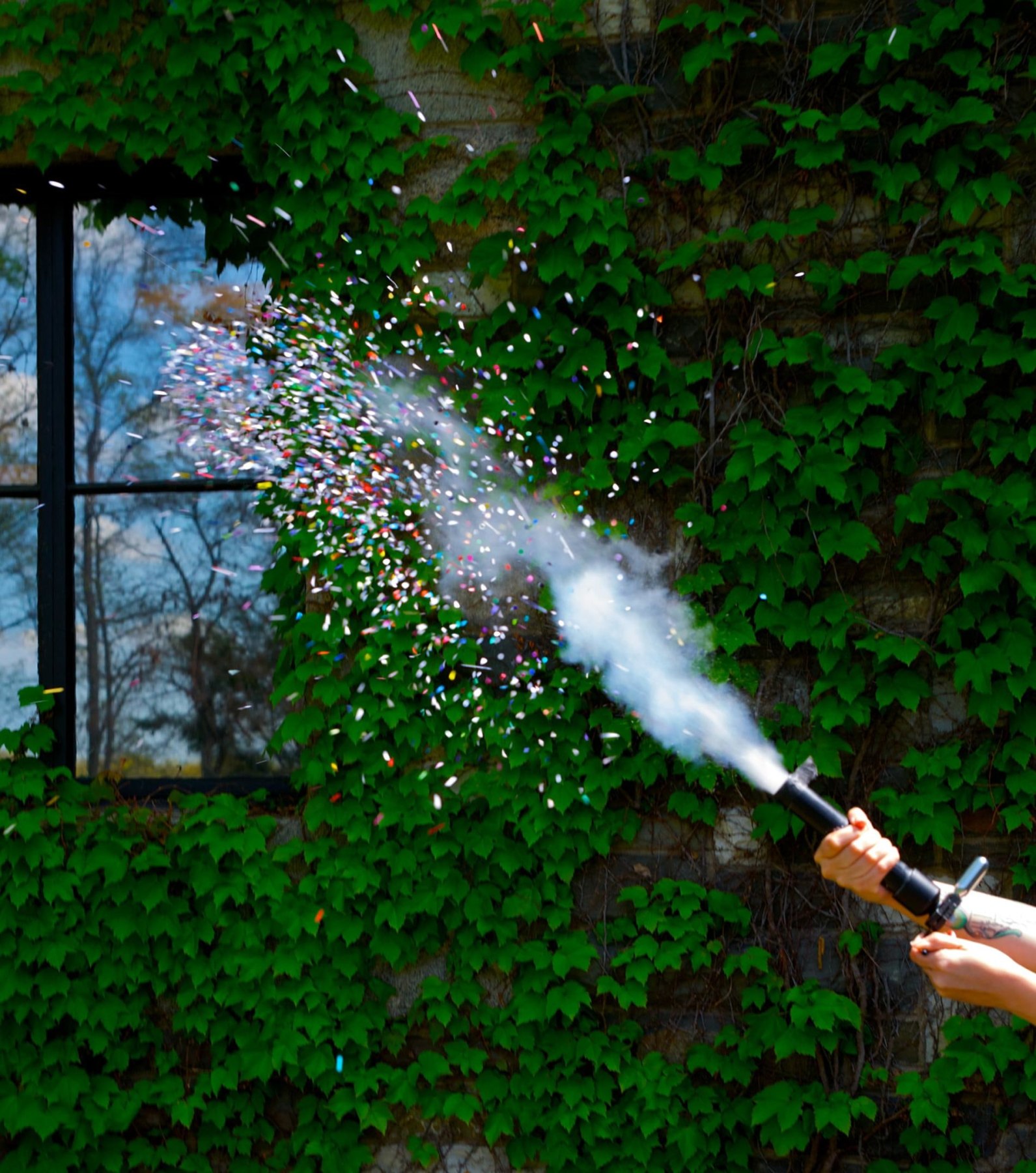 confetti cannon launching confetti against an ivy-covered wall as the background