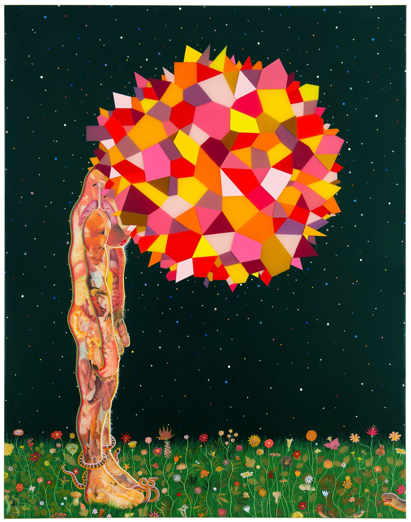 Image of FRED TOMASELLI's Head,&nbsp;2013