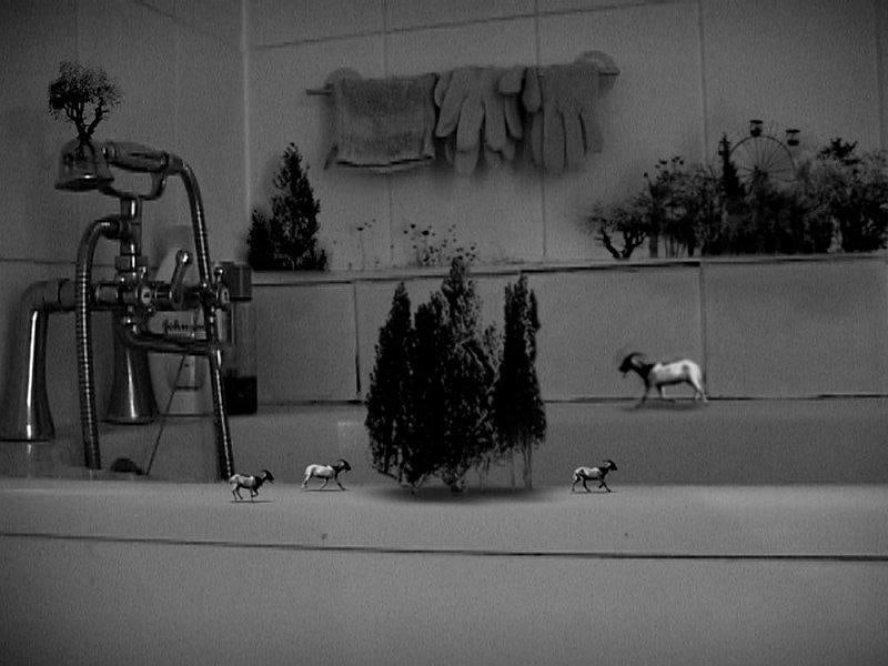 tiny trees and goats are seen inhabiting a life-sized bathtub