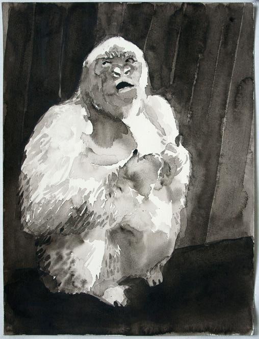 Image of SHI ZHIYING's 石至莹 Palomar&mdash;The Albino Gorilla 帕洛马尔&mdash;&mdash;白化症猩猩, 2011-2012