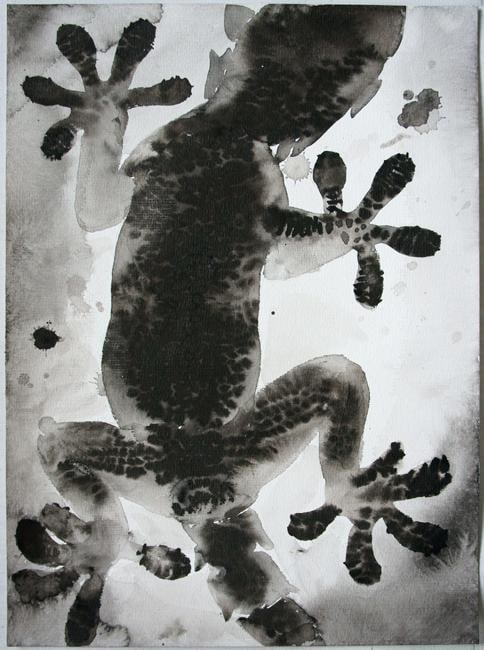Image of SHI ZHIYING's 石至莹 Palomar&mdash;The Gecko's Belly 帕洛马尔&mdash;&mdash;壁虎的肚子, 2011-2012