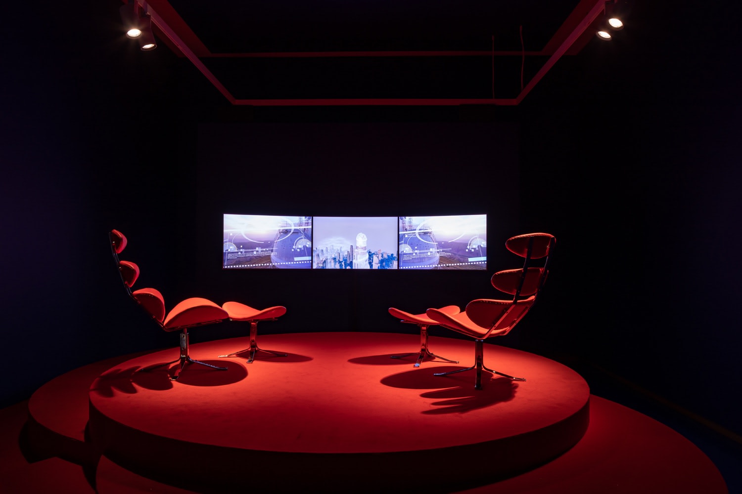 Hito Steyerl, Hito Steyerl: I WIll Survive