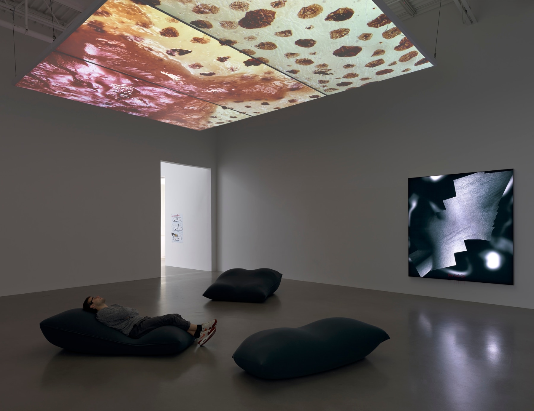 21st Century Landscapes -  - Viewing Room - Petzel Gallery