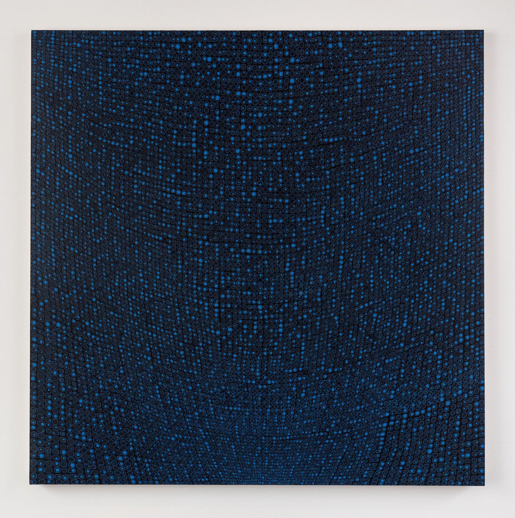 Hidden Hill, 2010, Acrylic on canvas&nbsp;