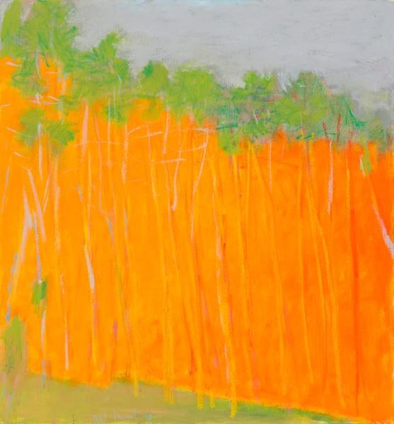 &quot;Bold Color,&quot; 2011, Oil on canvas, 28 x 26 inches, 71.1 x 66 cm, A/Y#20154