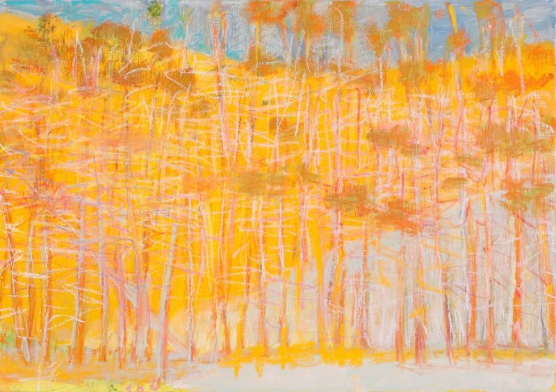 &quot;Orange Satisfied,&quot; 2011, Oil on canvas, 28 x 40 inches, 71.1 x 101.6 cm, A/Y#20442