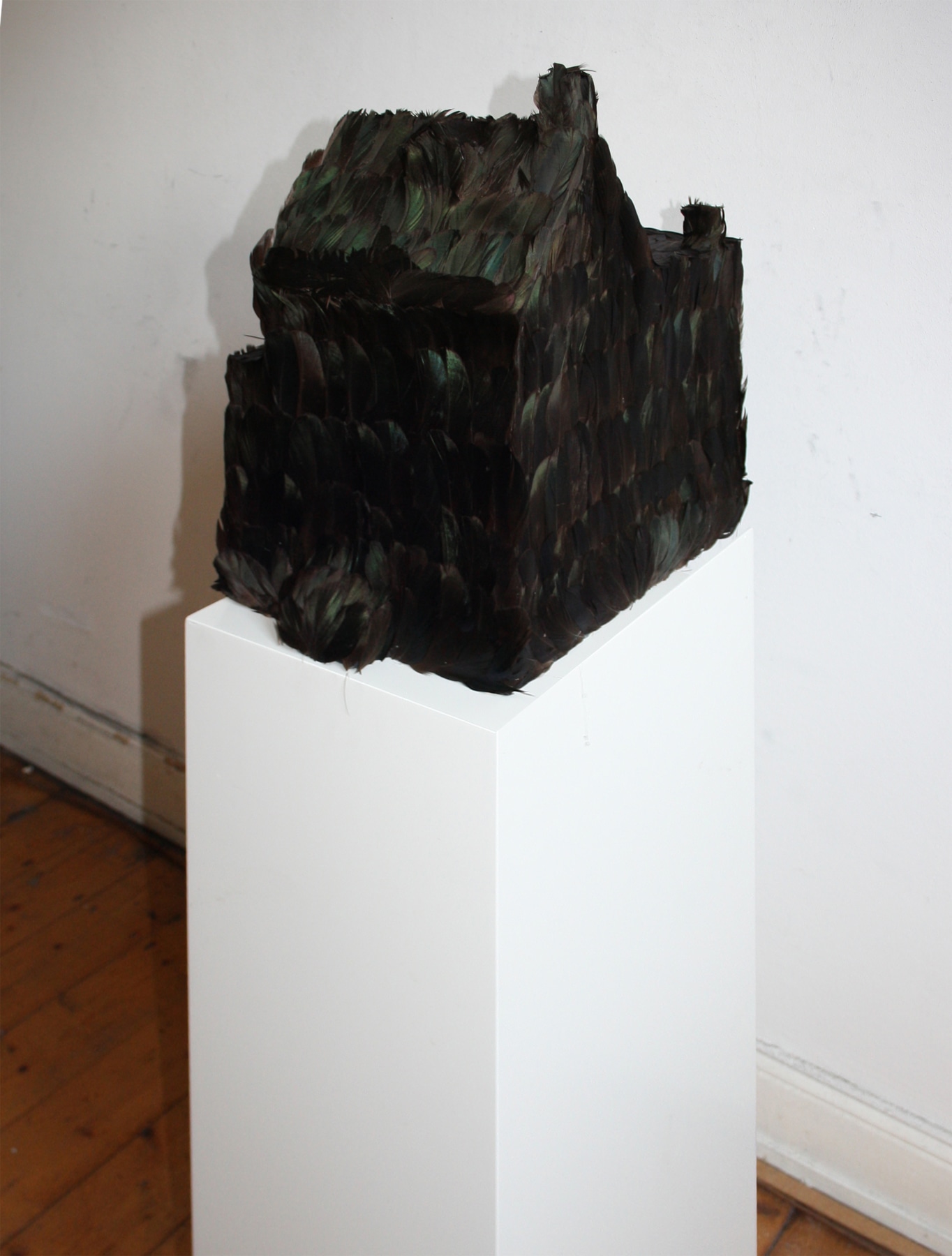 Simon Schubert, Untitled (Feather House I), 2015