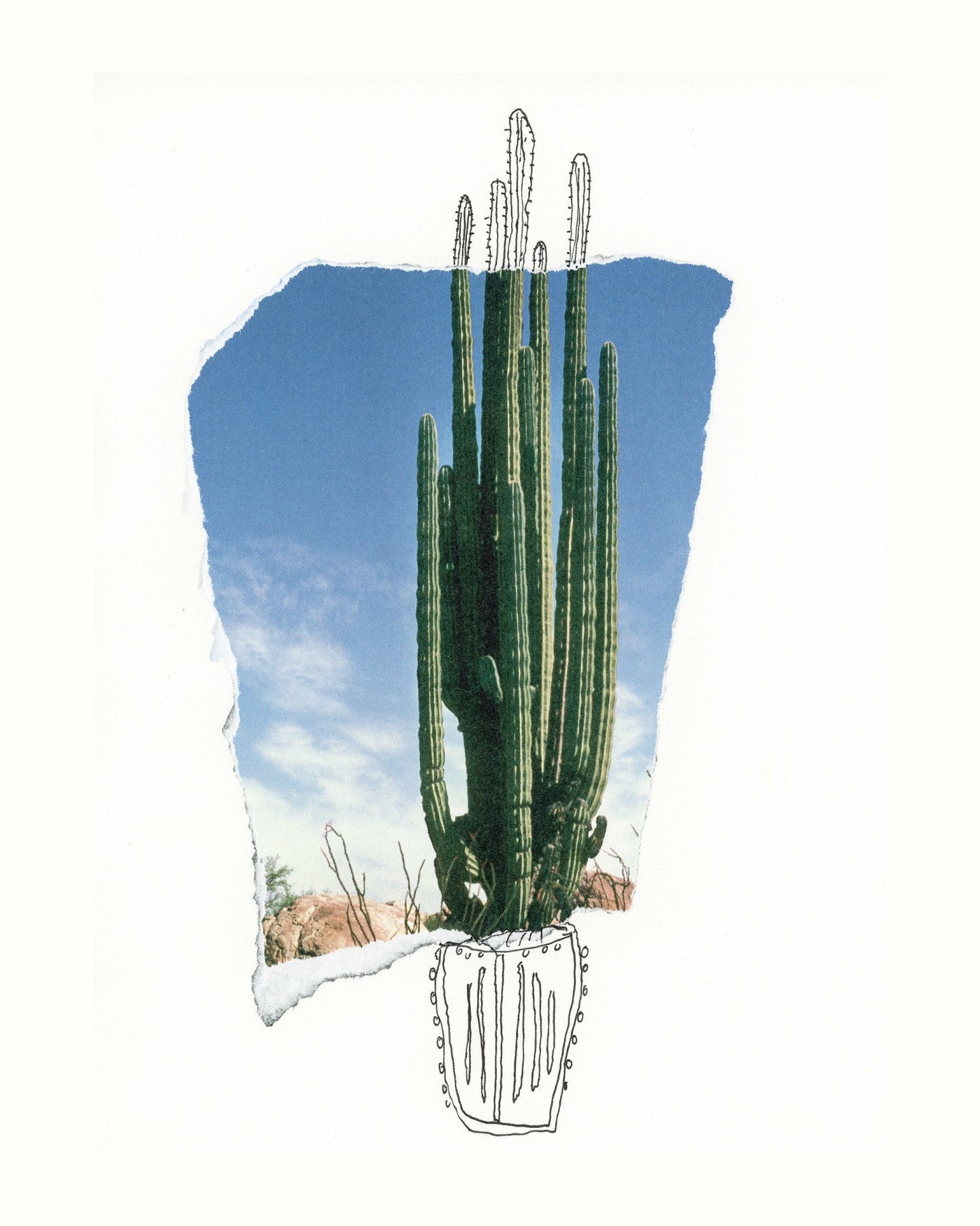 Michael Stiegler  Cactus Solo (unframed), 2019 art from the exhibition on Bowery at Lone Goat Gallery