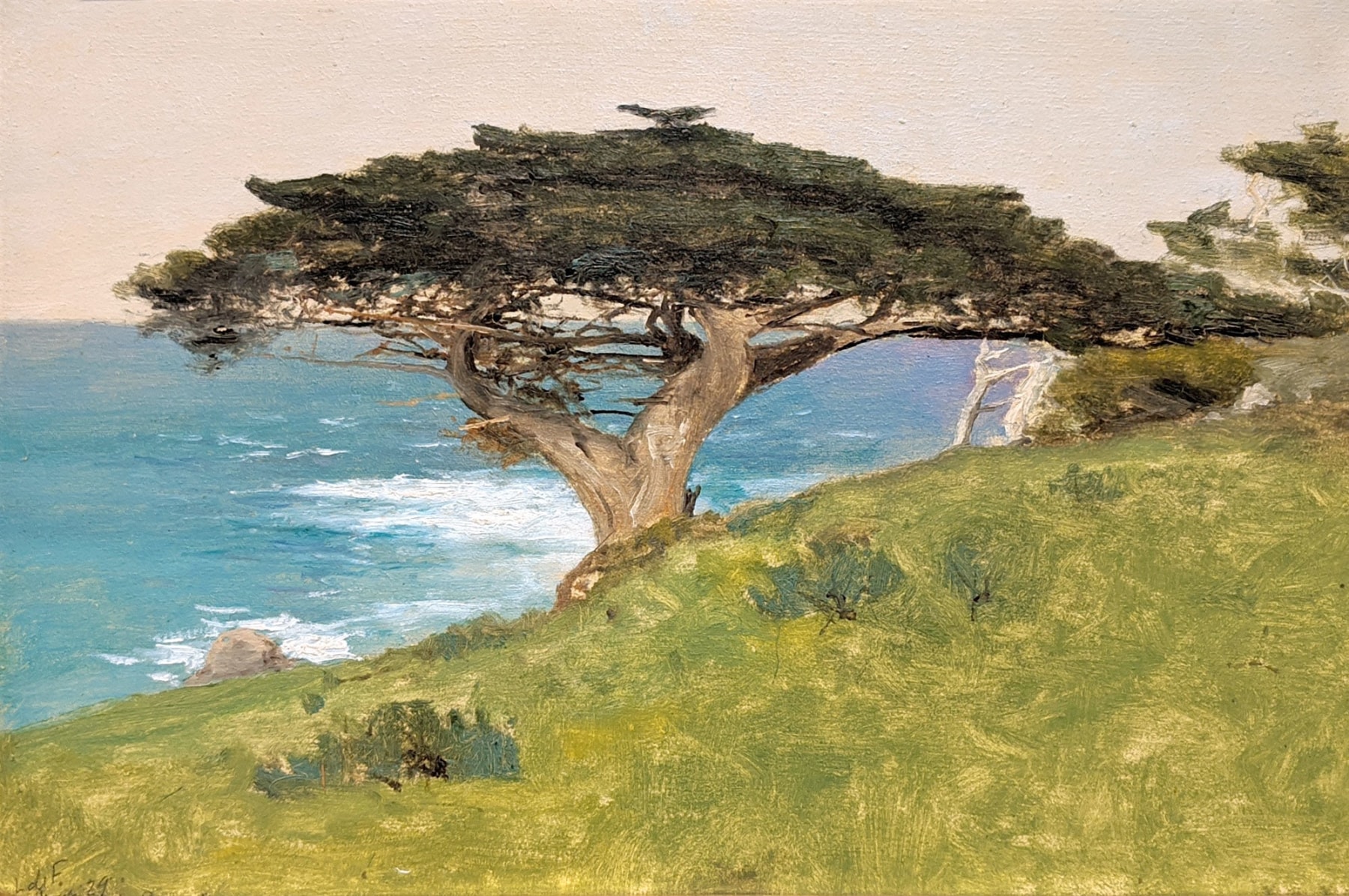 Lockwood De Forest, &quot;Point Lobos&quot;  Veteran Tree (Monterey), January 29, 1911