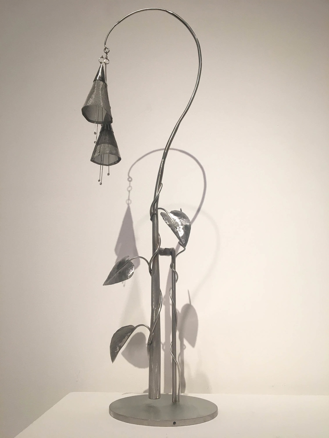 Ken Bortolazzo, Two Hanging Blossoms, 2016