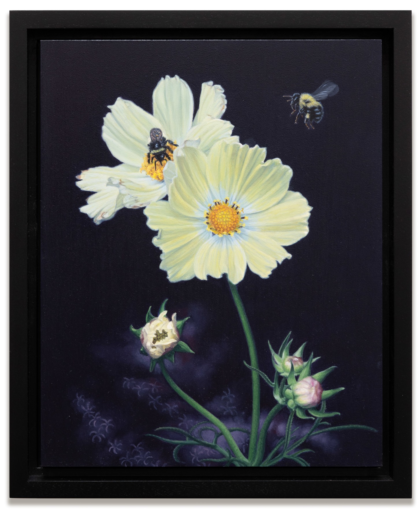 SUSAN MCDONNELL , Bumblebee and Cosmos, 2024