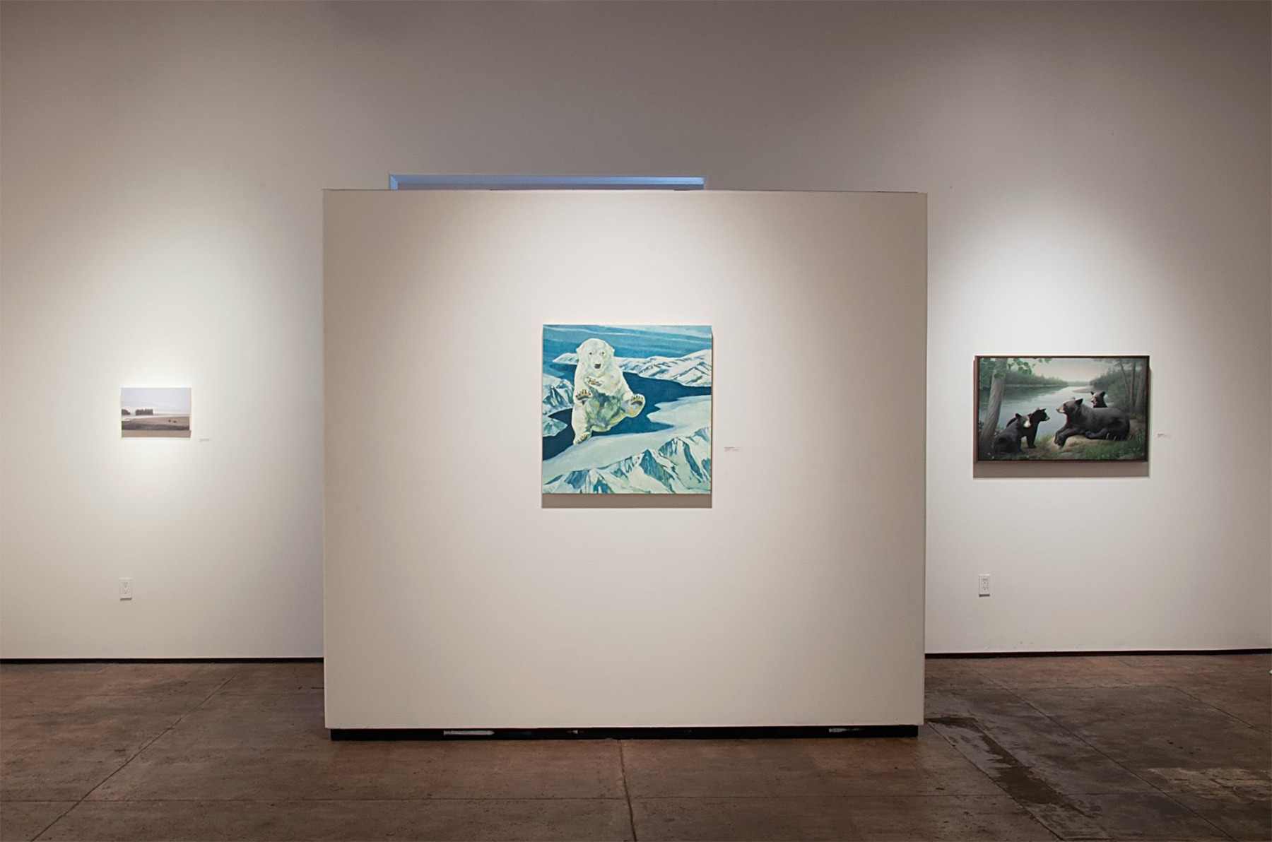 Contemporary Bear Area Artists Installation photograph, Pamela Kendall Schiffer, Nicole Strasburg, Susan McDonnell