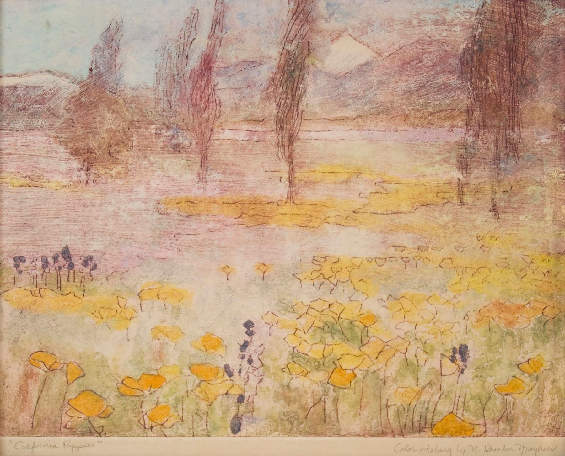 California Poppies, Nell Brooker Mayhew