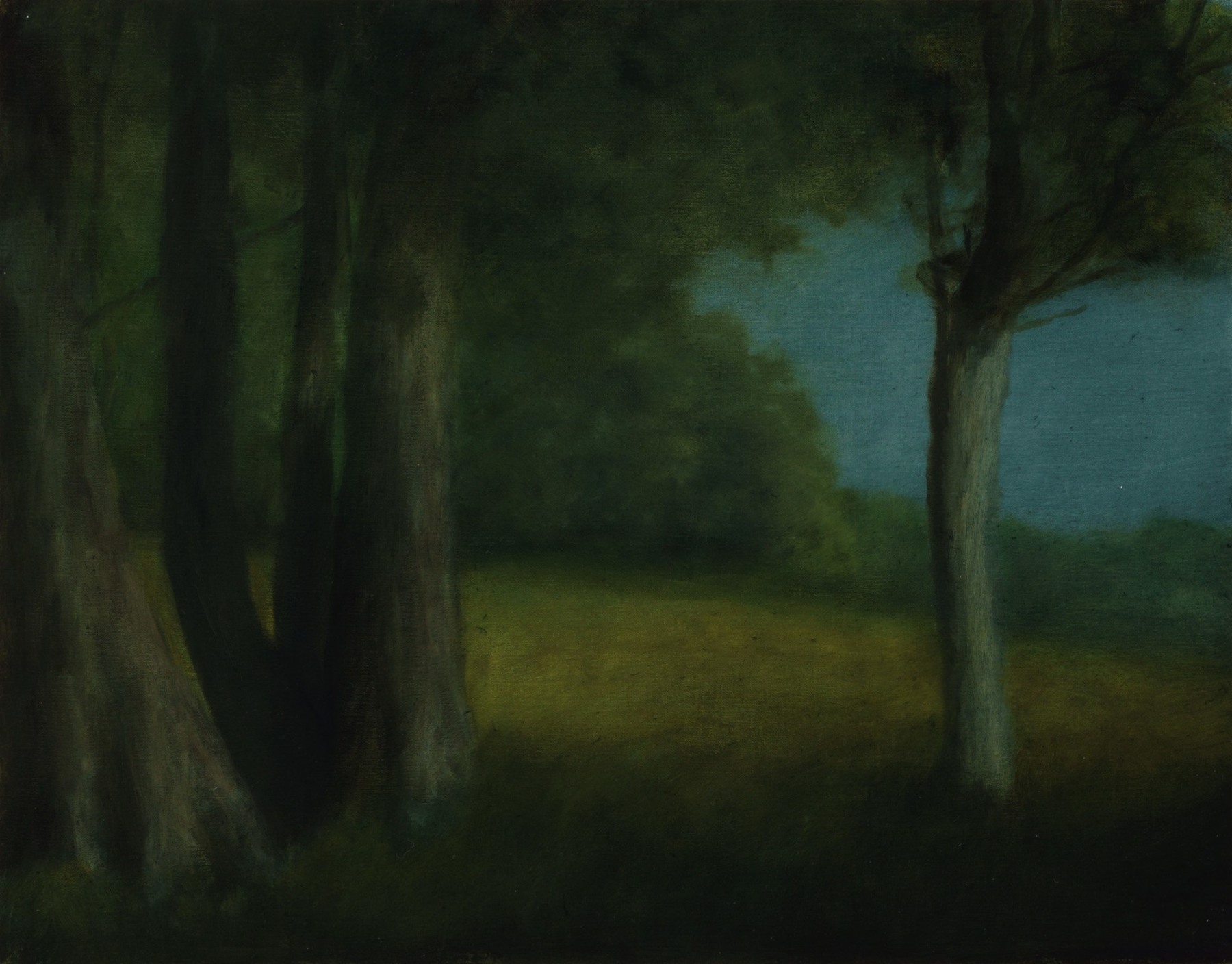 Chris Peters, Forest Edge