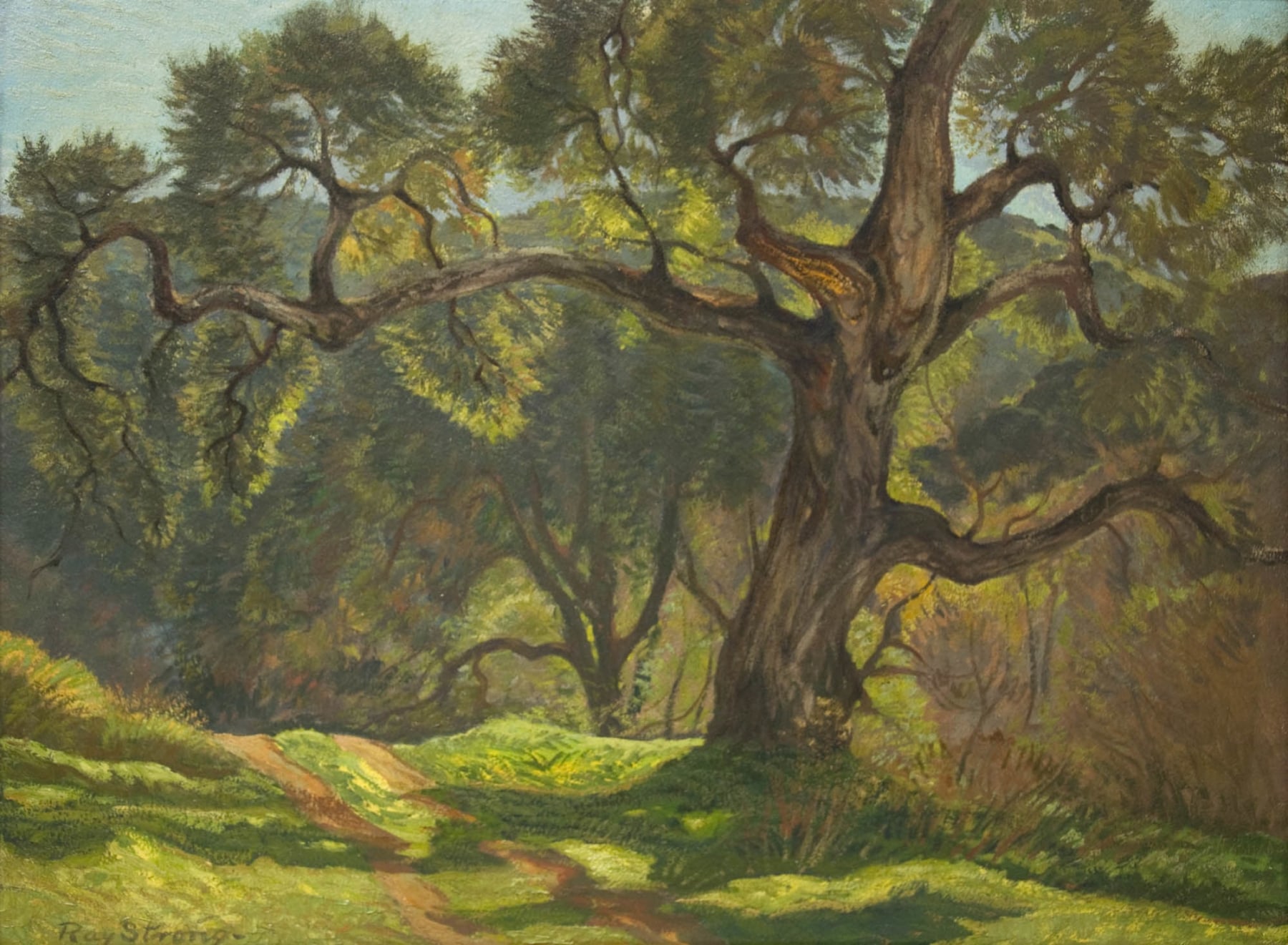 Ray Strong, Large Oaks, 1975